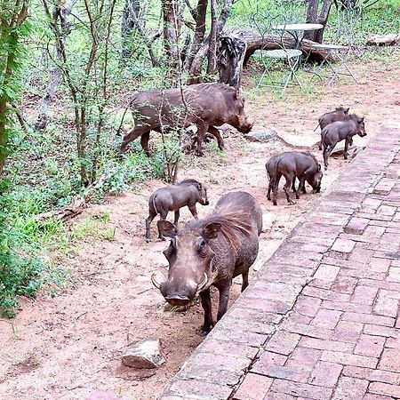 The Bush Hut Villa Hoedspruit Luaran gambar