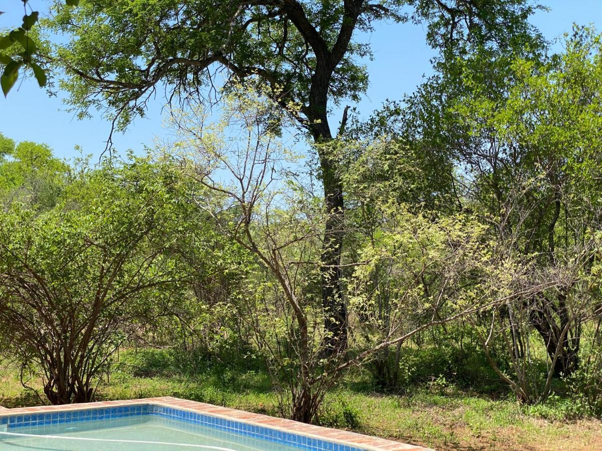 The Bush Hut Villa Hoedspruit Luaran gambar